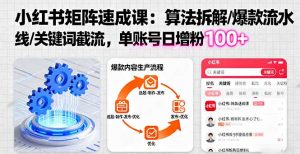 小红书矩阵起号速成课：算法拆解/爆款流水线/关键词截流 单账号日增粉100+-Z网创