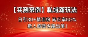 【实测案例】私域新玩法，日引30+精准粉，转化率50%，新人照做也能出单！-Z网创