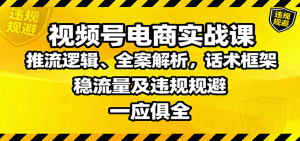视频号电商实战课:推流逻辑、全案解析,话术框架,稳流量及违规规避等-Z网创