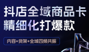 金戈·抖店爆单陪跑课-抖音小店爆单陪跑(更新10月)-Z网创