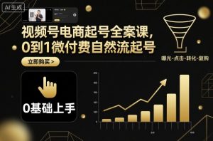 视频号电商起号全案课，0到1微付费自然流起号-Z网创
