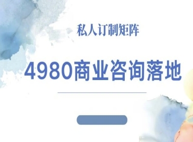 4980商业咨询师落地课程-ip运营高客单教程-Z网创