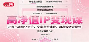 高净值IP变现课：小红书差异化定位，文案点赞成金， AI高效做短视频-Z网创