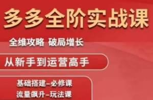 大炮·拼多多全阶实战课程(更新10月)-Z网创