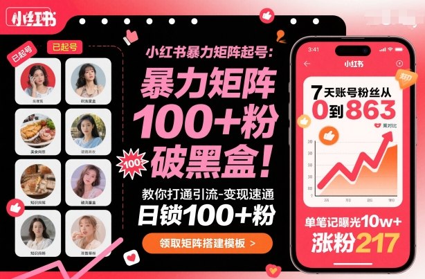 小红书暴力矩阵起号,教你打通引流-变现速通,日锁100+粉,破流量黑盒-Z网创