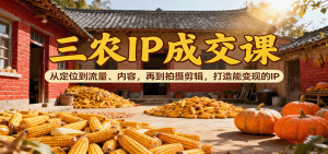 三农IP成交课：从定位到流量、内容，再到拍摄剪辑，打造能变现的IP-Z网创