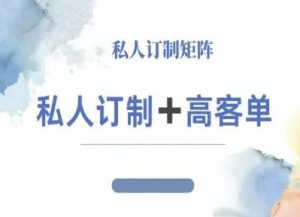 小红书自媒体咨询师IP教程，私人定制+高客单-Z网创