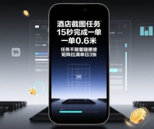 酒店截图任务,15秒完成一单,一单0.6米,任务不限量随便接,矩阵拉满单日3张【揭秘】-Z网创