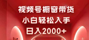 视频号橱窗带货，小白轻松入手，日入2000+-Z网创