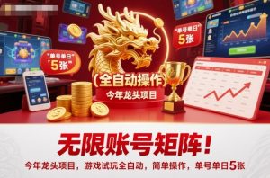 无限账号矩阵！今年龙头项目，游戏试玩全自动，简单操作，单号单日5张【揭秘】-Z网创