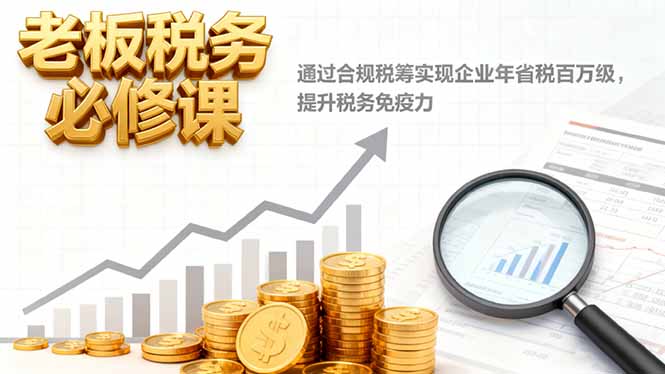 老板税务必修课,通过合规税筹实现企业年省税百万级,提升税务免疫力-Z网创