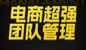 电商超强团队管理,组织绩效,到用人执行,分权合伙-Z网创