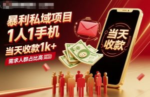 暴利私域项目1人1手机，当天收款1k+，需求人群占比高，当天就能见到钱-Z网创