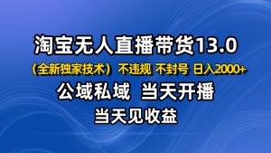 淘宝无人直播13.0,公域私域技术,不封号,不违规 布局下半年旺季赛道,日入2000+-Z网创