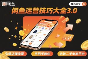 闲鱼运营技巧大全3.0，引爆店铺流量，手把手教你玩转二手电商平台-Z网创