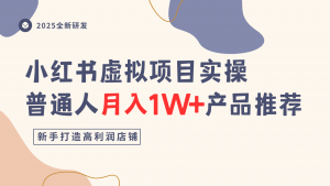 小红书虚拟项目实操指南，普通人月入1W+产品推荐，直接抄-Z网创