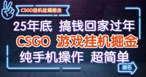 25年底搞钱回家过年，CSGO游戏挂机掘金，纯手机操作超简单-Z网创