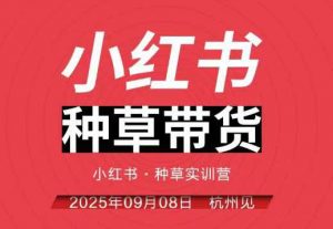 小红书种草带货实训营9月8日杭州线下课，全程录音+字幕，全网唯一小红书实战营-Z网创