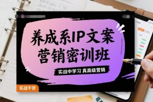 养成系IP文案营销密训班，实战中学习真高级营销-Z网创