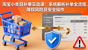 淘宝小类目补单实战课:系统解析补单全流程、降权风险及安全操作-Z网创