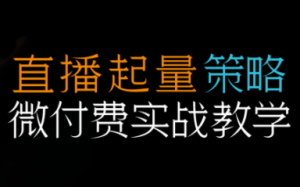 半野老师·直播带货起量与微付费必学课视频号-Z网创