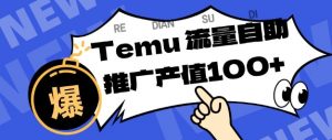 专注于Temu商家提供精准曝光浏览量,助力店铺排名提升和转化,单机日收入80-130【揭秘】-Z网创