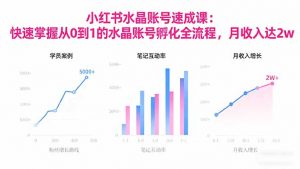 2025小红书水晶账号速成课:快速掌握从0-1水晶账号孵化全流程,月收入达2w-Z网创