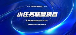 小任务联盟项目:一台电脑每天只需10分钟,轻松简单稳定-Z网创