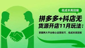 拼多多+抖店无货源开店11月玩法:掌握两大平台核心运营技巧,低成本高回报-Z网创