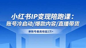 小红书IP变现陪跑课：账号冷启动/爆款内容/直播带货，单账号最高收益2万+-Z网创
