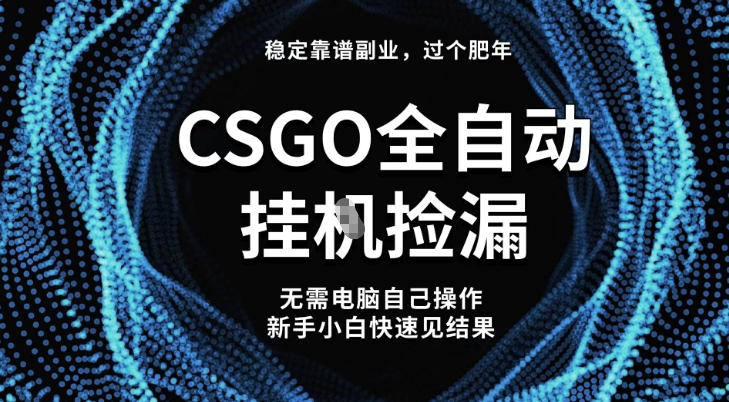 【稳定副业】全球最热门游戏CSGO全自动捡漏，最新玩法，新手小白日入5张+【揭秘】-Z网创