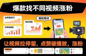 爆款找不同视频涨粉，让视频拉停留，实现点赞，破播放，涨粉-Z网创