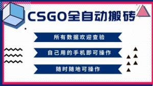 CSGO全自动搬砖，年底钱回家好项目，当天可拿到结果，新手小白轻松月入1W+【揭秘】-Z网创