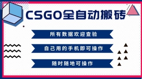 CSGO全自动搬砖,年底钱回家好项目,当天可拿到结果,新手小白轻松月入1W+【揭秘】-Z网创
