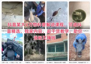 抖音某大V万物科普解说课程，可进抖音精选，独家内容，超干货教学，助你涨粉又賺钱-Z网创