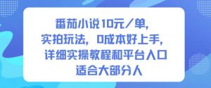 番茄小说10米每单,实拍玩法,0成本好上手,详细实操教程和平台入口适合大部分人-Z网创