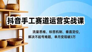 抖音手工赛道运营实战课，流量思维、标签机制、垂直定位，解决不起号难题，单月变现破3万-Z网创