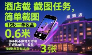 酒店截图任务,简单截图,15秒一单收益0.6米,一部手机不限地方时间,可矩阵单日收益3张【揭秘】-Z网创