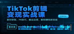 TikTok剪辑变现实战课：素材获取，PR技巧，搬运运营，解锁赚钱新技能-Z网创