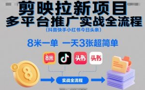 剪映拉新项目多平台推广实战全流程(抖音快手小红书今日头条)，8米一单，一天3张超简单-Z网创