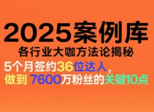 2025案例库,收录各行业大咖的方法论,各行业大咖方法论揭秘-Z网创