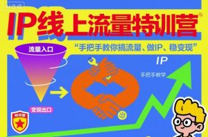 IP线上流量特训营,手把手教你搞流量、做IP、稳变现-Z网创