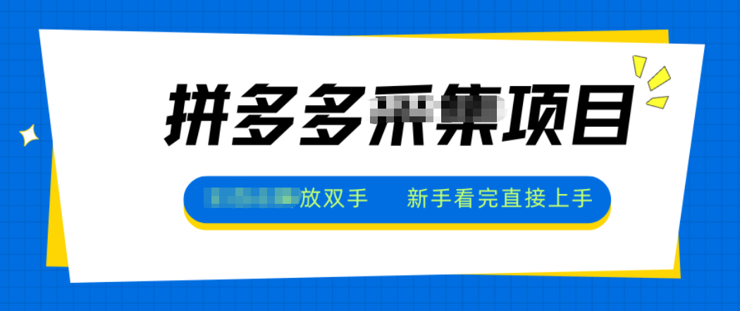拼多多电商采集，一小时50+，操作简单，零投资-Z网创