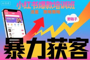 小红书爆款培训班，小红书获客野路子流量打法，暴力持续获客-Z网创