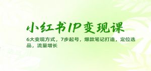 小红书IP变现课：6大变现方式，7步起号，爆款笔记打造，定位选品，流量增长-Z网创