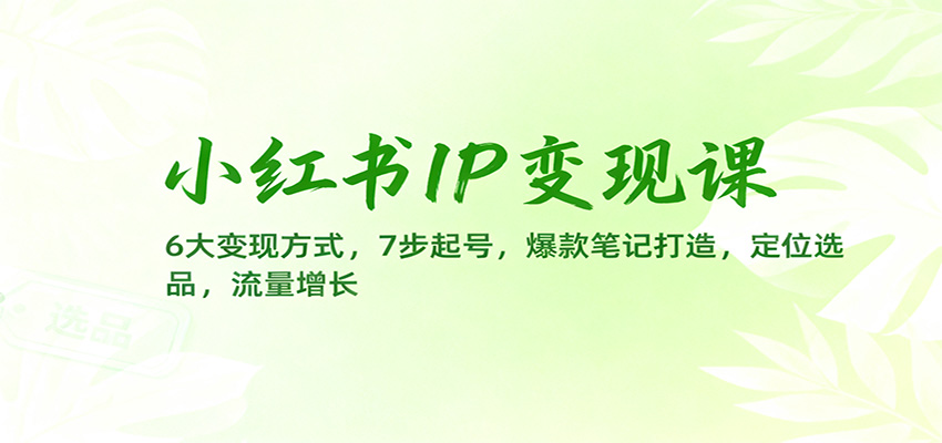 小红书IP变现课：6大变现方式，7步起号，爆款笔记打造，定位选品，流量增长-Z网创