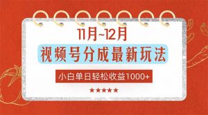 11月~12月视频号分成最新玩法，小白单日轻松收益1000+-Z网创