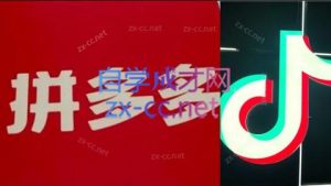 老陶电商·拼多多+抖音小店无货源开店(更新11月)-Z网创