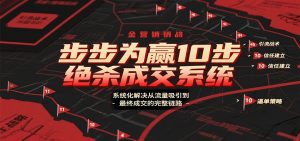 步步为赢10步绝杀成交系统，系统化解决从流量吸引到最终成交的完整链路-Z网创