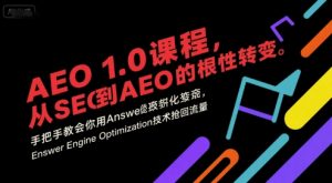 AEO 1.0 课程,从SEO到AE0的基命性转变,手把手教会你用AnswerEngineOptimization技术抢回流量(更新)-Z网创